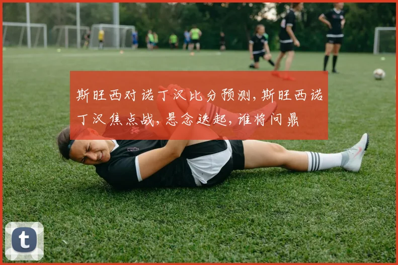 斯旺西对诺丁汉比分预测,斯旺西诺丁汉焦点战,悬念迭起,谁将问鼎