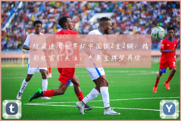 短道速滑世界杯中国揽2金2铜，精彩收官引关注，冬奥金牌梦再续