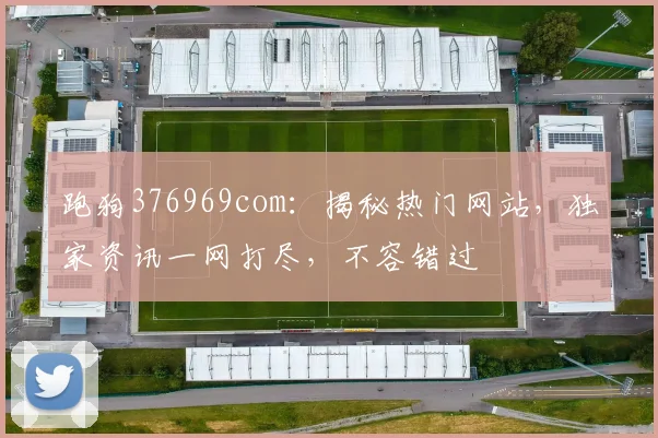 跑狗376969com：揭秘热门网站，独家资讯一网打尽，不容错过